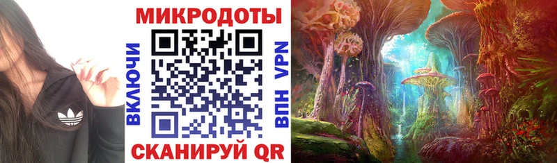 Псилоцибиновые грибы Psilocybine cubensis  OMG как войти  Лебедянь 