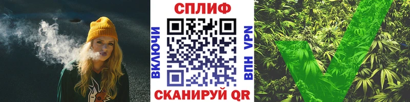 Бошки Шишки семена  Лебедянь 